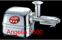 Angelia 5500